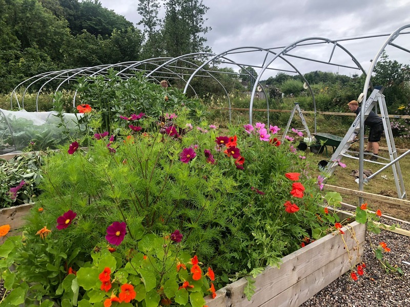 Ardrishaig community garden grows from strength to strength