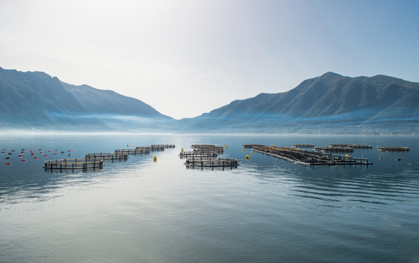Innovative ideas needed for seabed monitoring