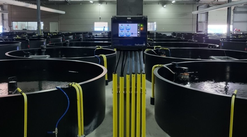 Optimal oxygen for better fish performance