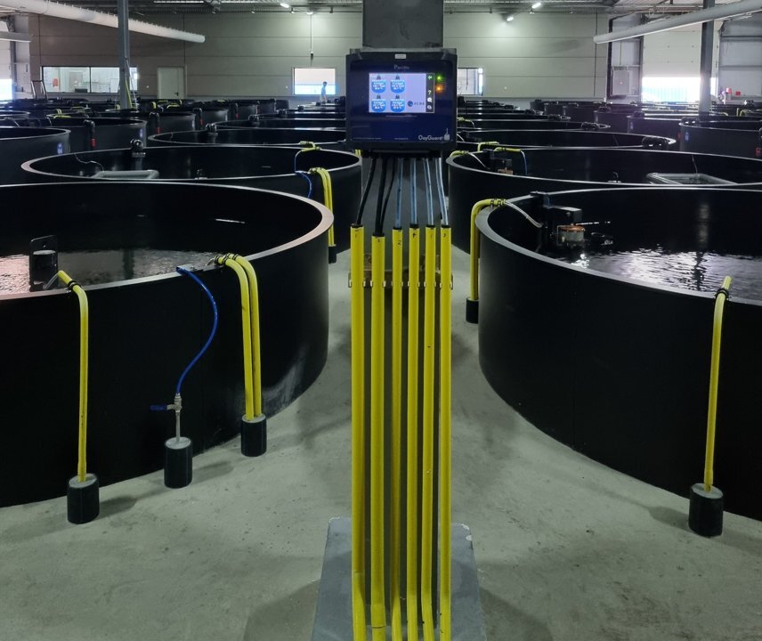 25.07 OxyGuard picture for Optimal Oxygen article to Fish Farmer Magazine August 2025