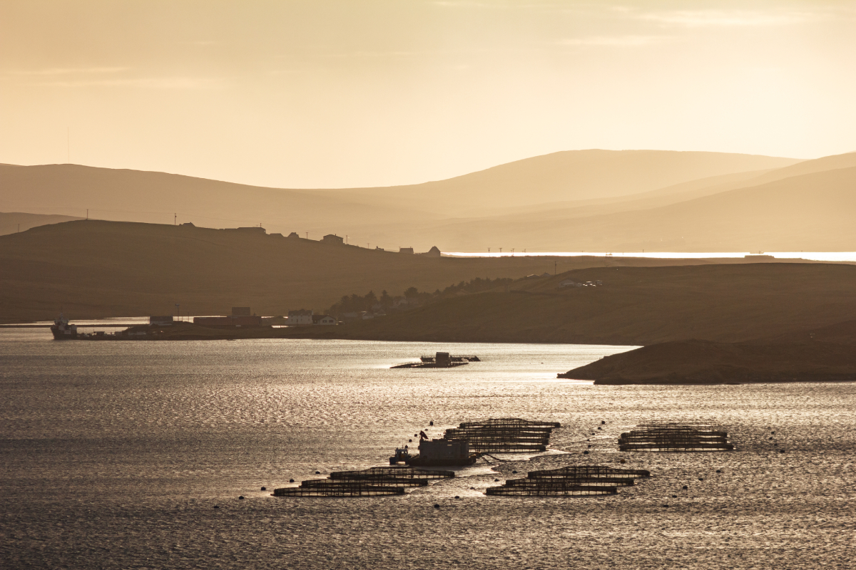 Lunna Voe Shetland AdobeStock 878614214 20250729