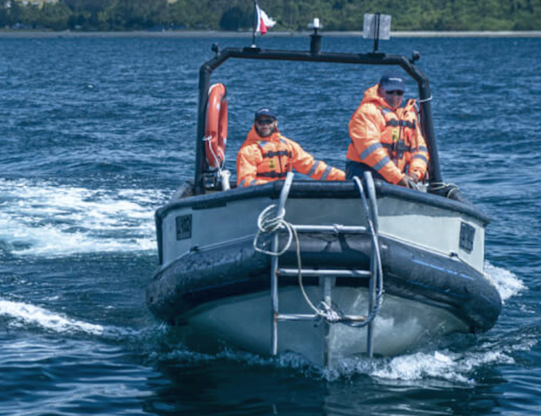 Chilean salmon giant reports strong Q2 performance