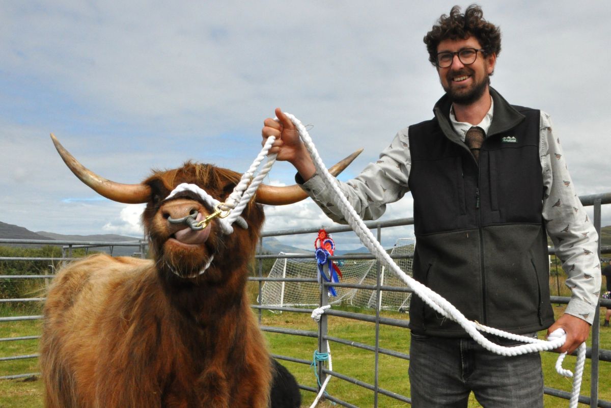 Jack Postill with a three-year-old in calf heifer from Ardalanish Farm, Bunessan