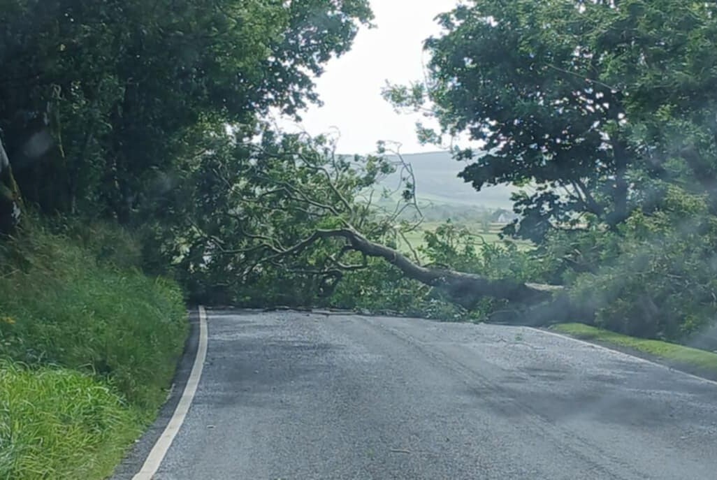 Trees felled as unseasonal storm hits Kintyre