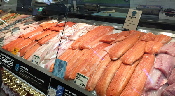 Norwegian seafood exports hit July record despite low salmon prices