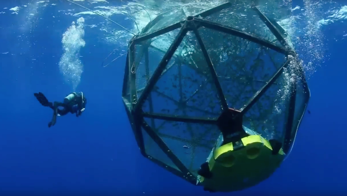 Velella Epsilon cage photo Ocean Era 20250805