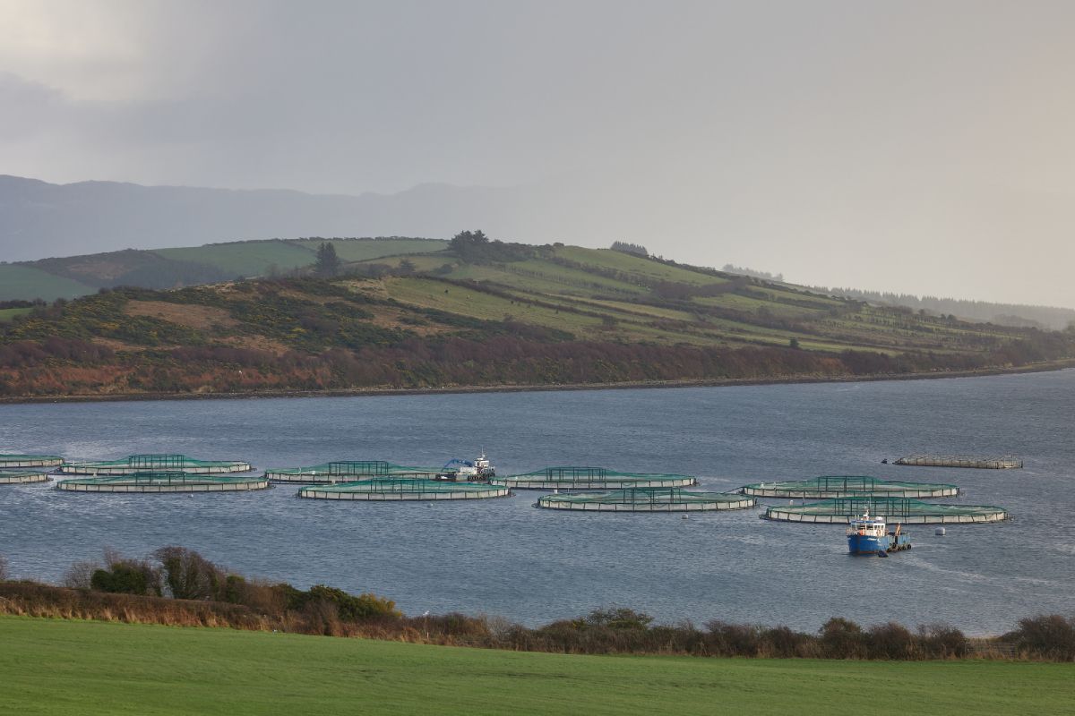 fish farm Donegal AdobeStock 609598361 20250806