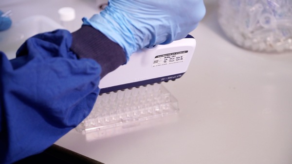 Experimental disease models: advancing improvements in fish health
