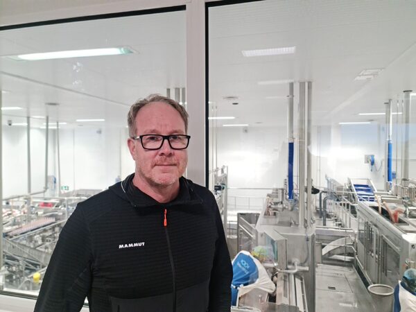 Kaldvik salmon chief in sudden departure