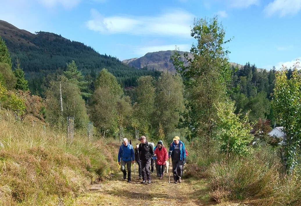 NO A35cowalfest01 25 last years event