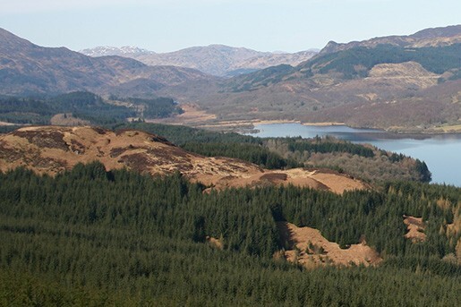 NO T35 Loch Lomond Trossachs National Park 01 web