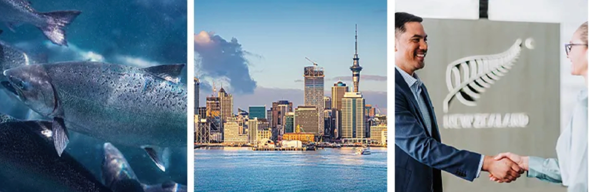 New Zealand montage Aqua Nor 2025