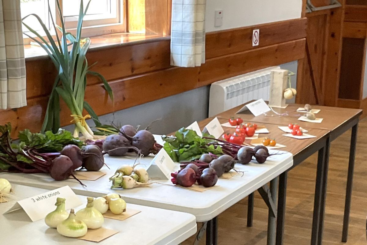 Gigha&rsquo;s 11th annual show deemed a great success