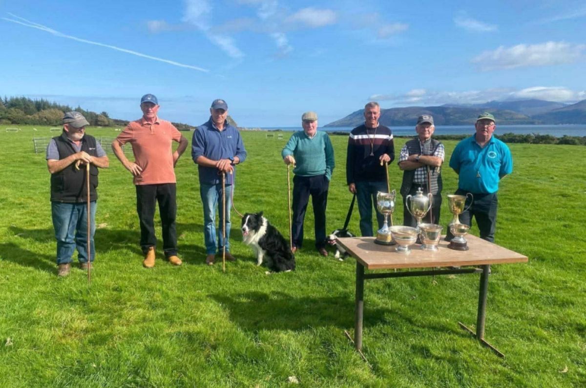 Sheepdogs and handlers shine at annual Skipness trial