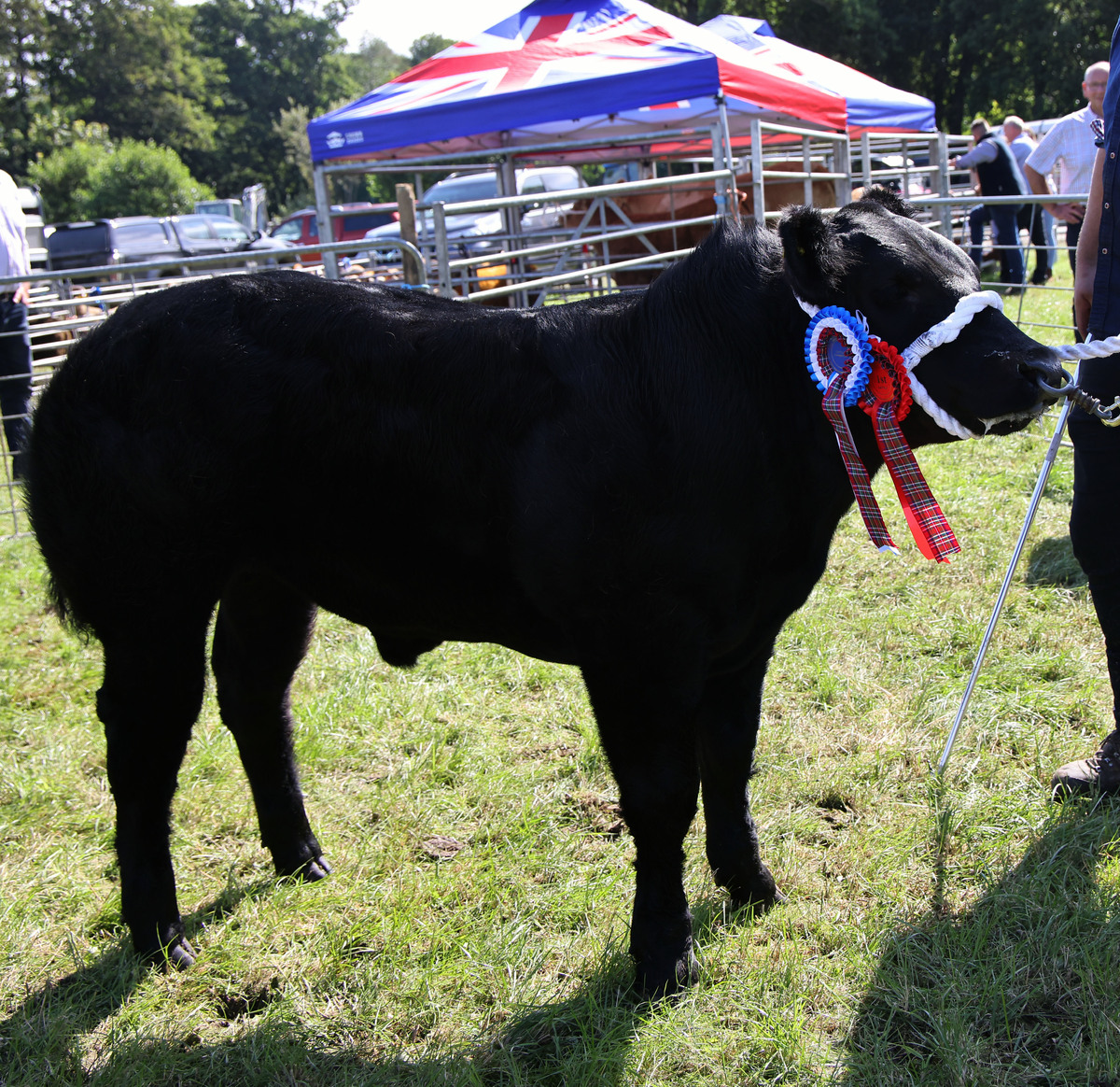 Winning streak continues at Appin Show