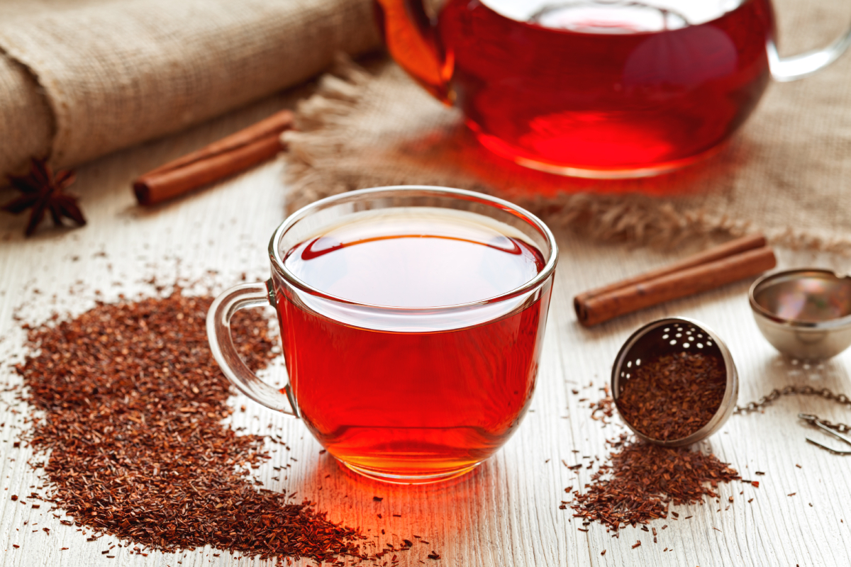 rooibos AdobeStock 82692518(1)
