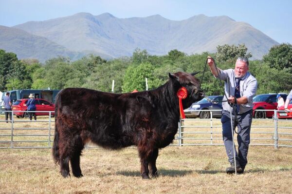 Dalmally Agricultural Show - Saturday 6th September 2025