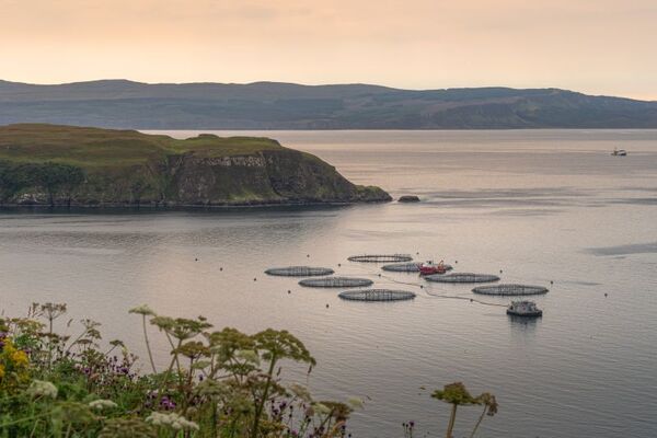 A Career in Aquaculture....Blue is the new green