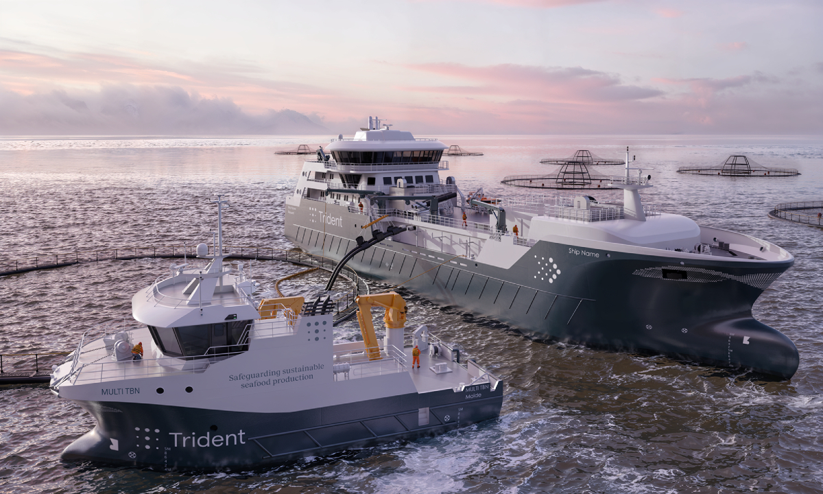 Triident hybrid vessels 20250829