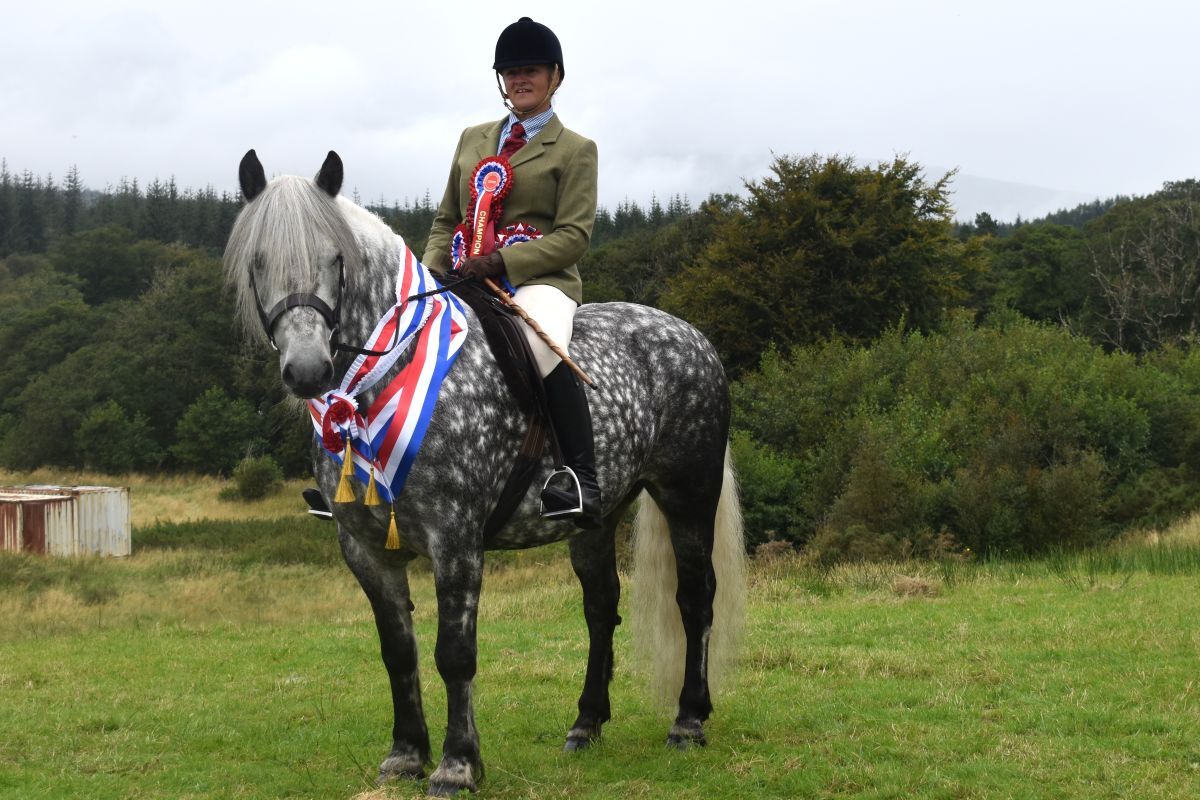 Horsepower wins the day at 2025 Lochaber Agri Show