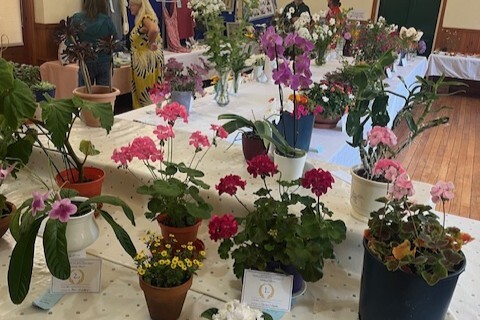 Blooming marvellous day for David at Plockton Show