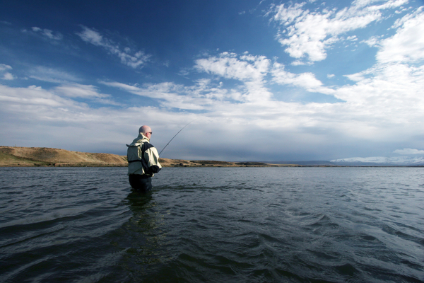 Rock barriers being put up against escaped farmed salmon