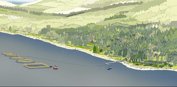Loch Long farm proposal blocked by National Park Authority