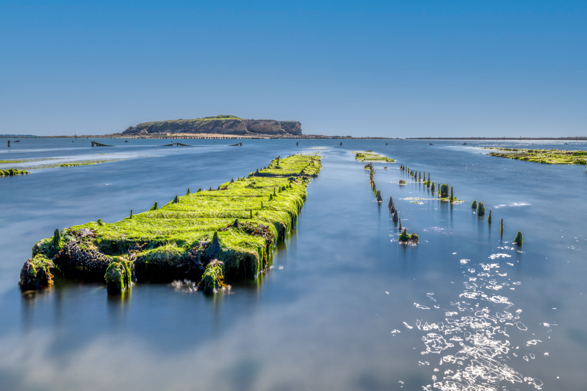 oyster farm Morbihan Brittany AdobeStock 449896090 20250901
