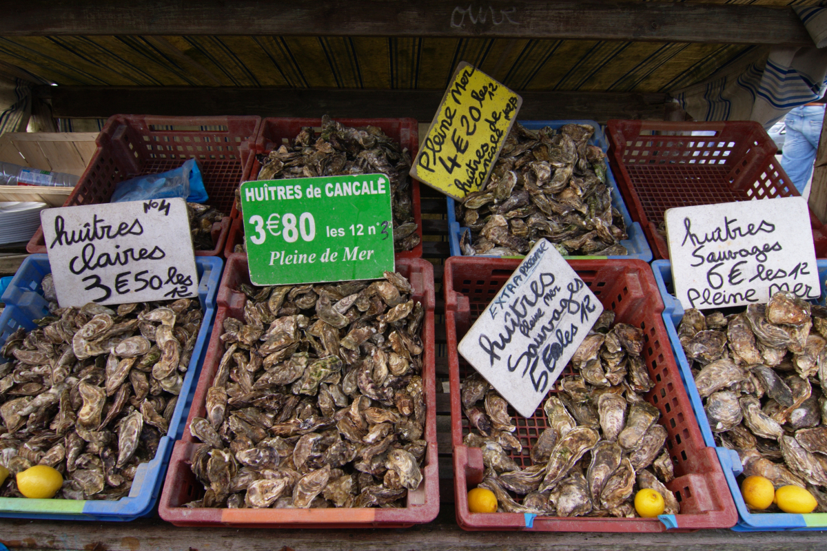 oysters in market AdobeStock 21926187 20250901