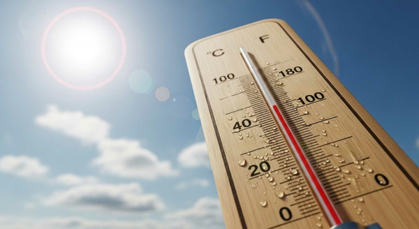 Feeling the heat: climate change and aquaculture