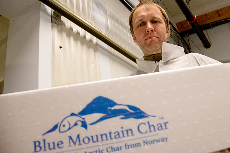 2409 blafjell jan hakan aksnes bluemountaincharkasse 20250911