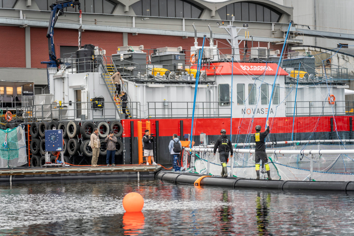 AquaNor Skansen harbour 20250911