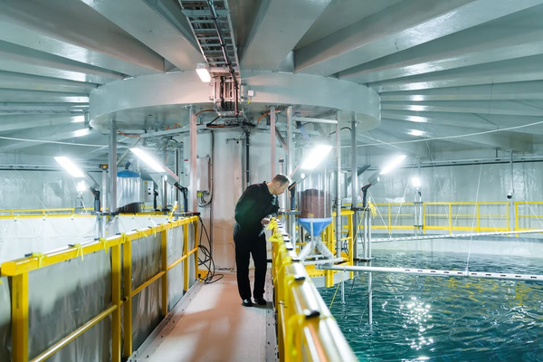 Onshore aquaculture suppliers to merge