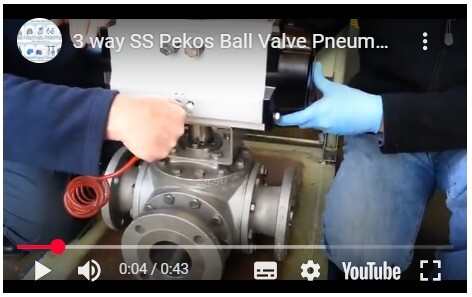 3 way SS Pekos Ball Valve Pneumatically Testing