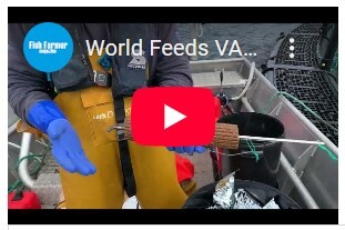 VAF Aquaculture Feed: Use and Benefits