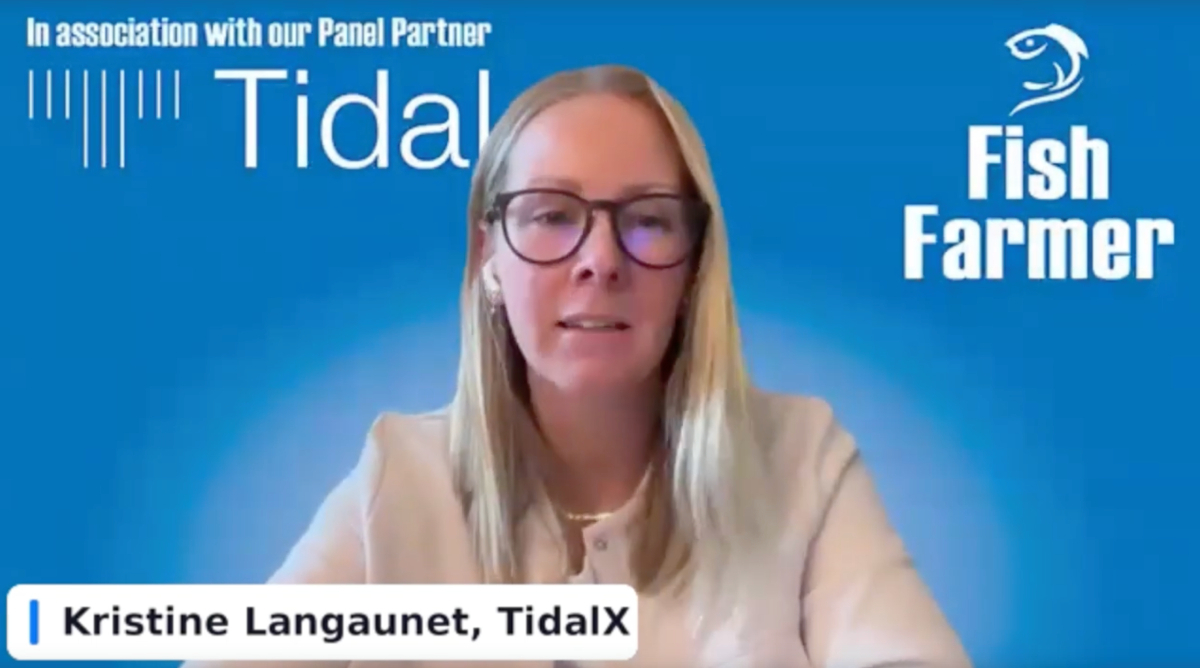 Screenshot Langaunet Tidal webinar 20250910
