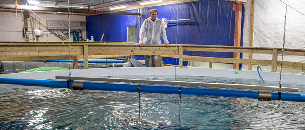 Long hot summer is too much for Arctic char farmer