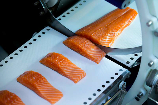 Hofseth Q2 profits up thanks to strong processing results