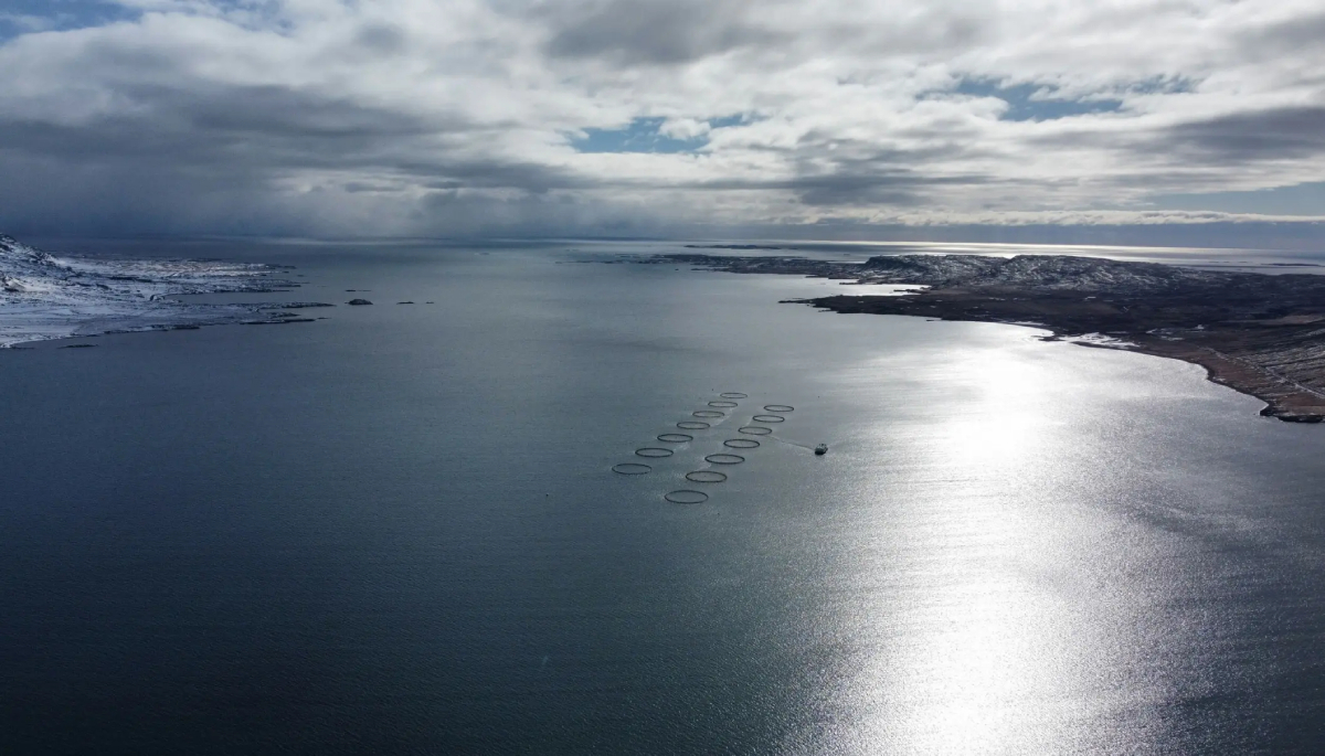 Kaldvik fish farm Iceland photo Kaldvik