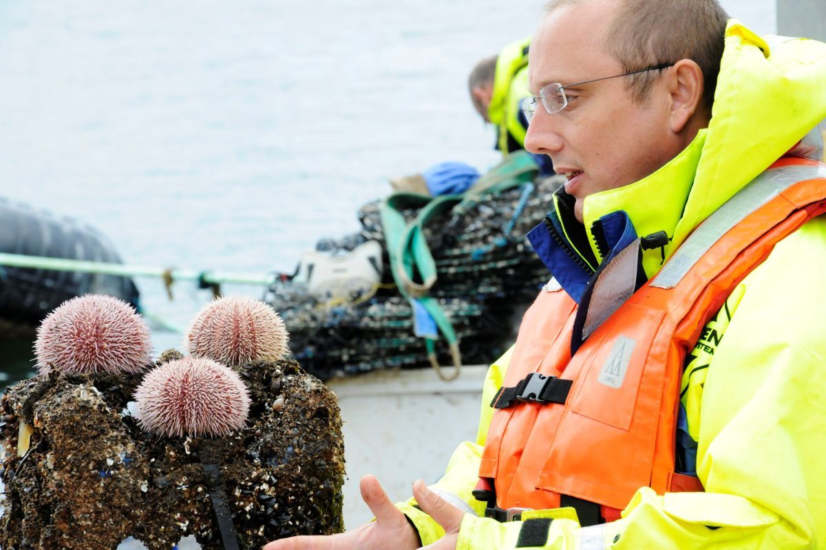 Adam Hughes, Professor of Innovation in the Blue Economy. Photograph: SAMS and UHI