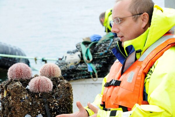 SAMS scientists awarded professorship