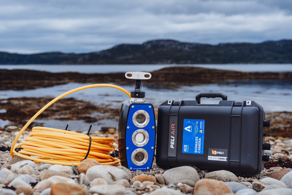 Ace Aquatec rolls out new species, health and harvest modules for its BIOMASS system