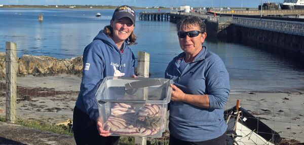 Royal invite for Tiree ranger