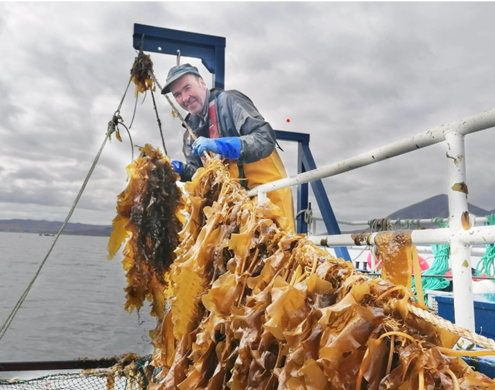 Harvest photo kelpcrofters 1 20250930