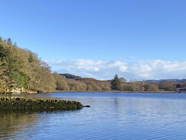 Village's hopes to purchase woodland receive funding boost