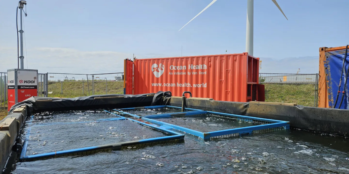 Ocean Health Van Oord web