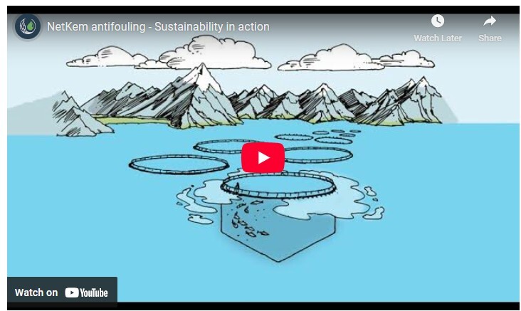 Netkem-Antifouling - Sustainability in Action