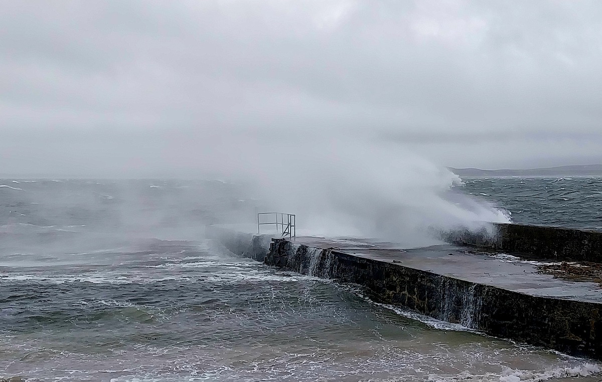 Tree hits home as Storm Amy weather front batters west coast