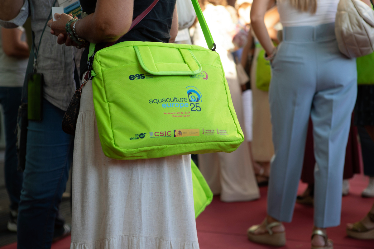 AE25 bag 26A5520 web AE25 bag 26A5520 web