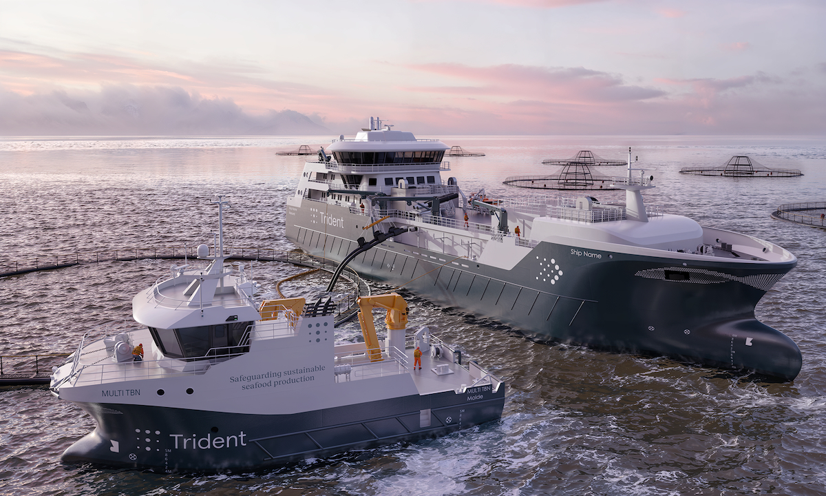 Trident hybrid vessels web